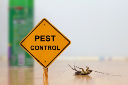Pest Contol in Earl's Court, SW5. Call Now 020 8166 9746